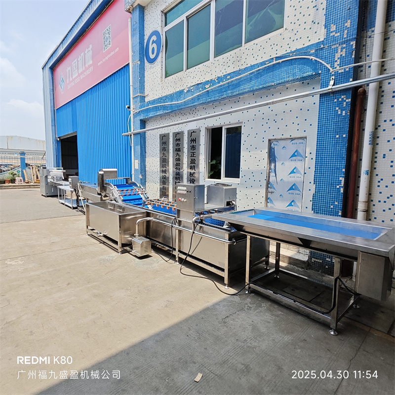 水果清洗包装生产线正式发货